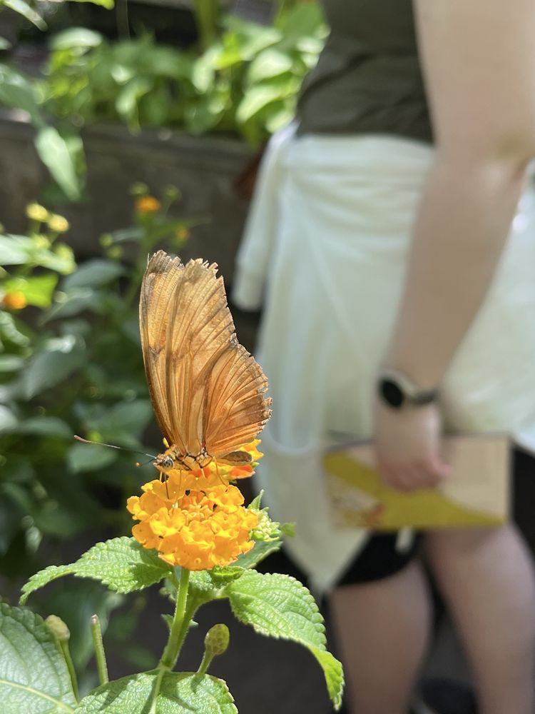 Hortus Botanicus Amsterdam