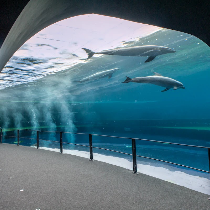 Acquario di Genova