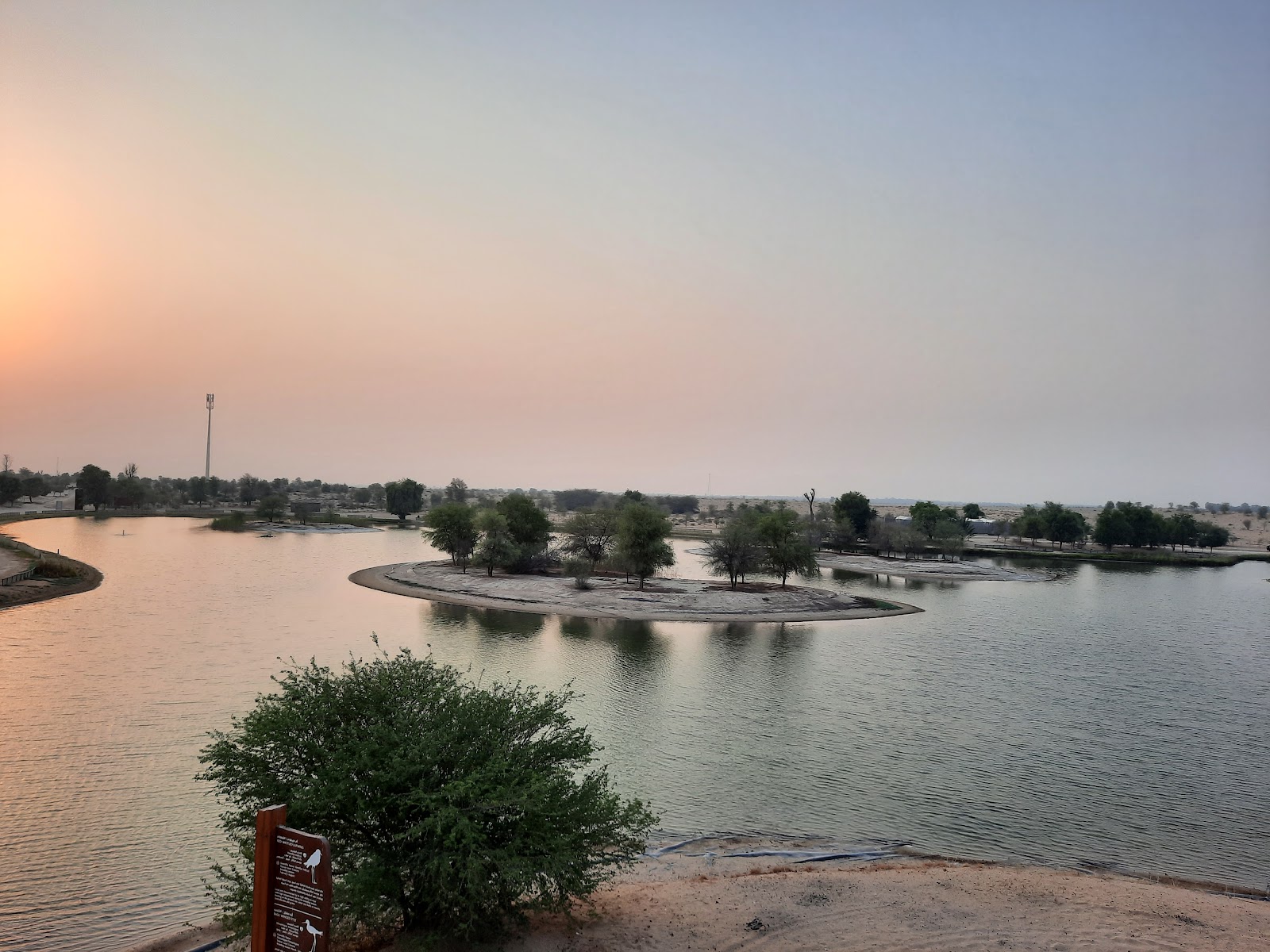 Al Marmoom Desert Conservation Reserve