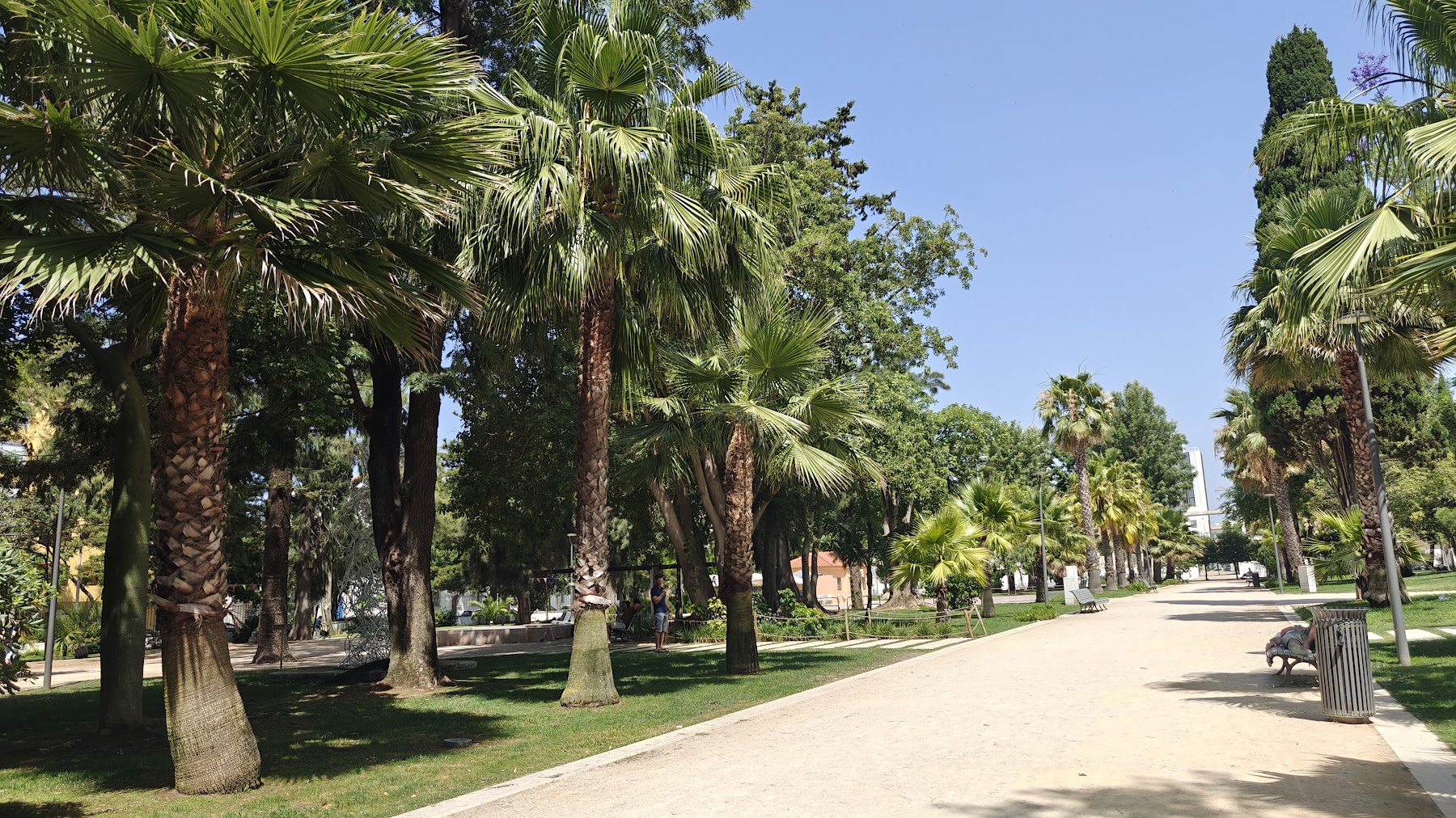Alameda João de Deus Garden