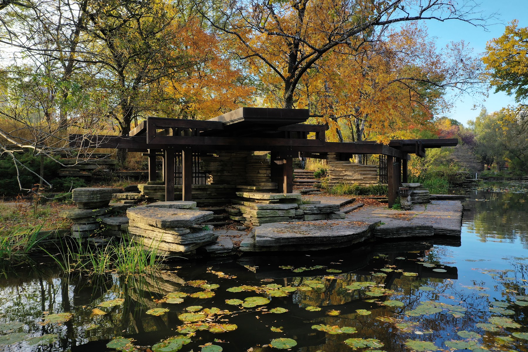 Alfred Caldwell Lily Pool