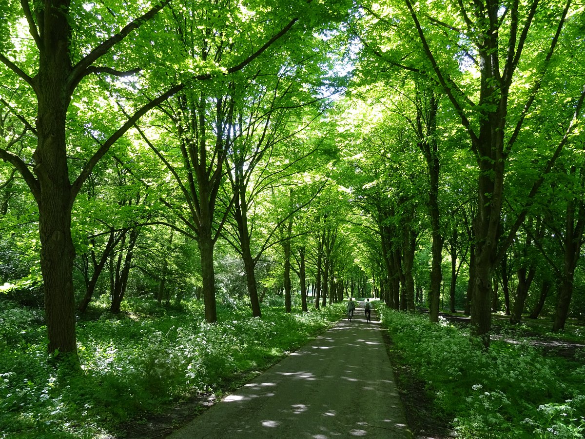 Amsterdamse Bos