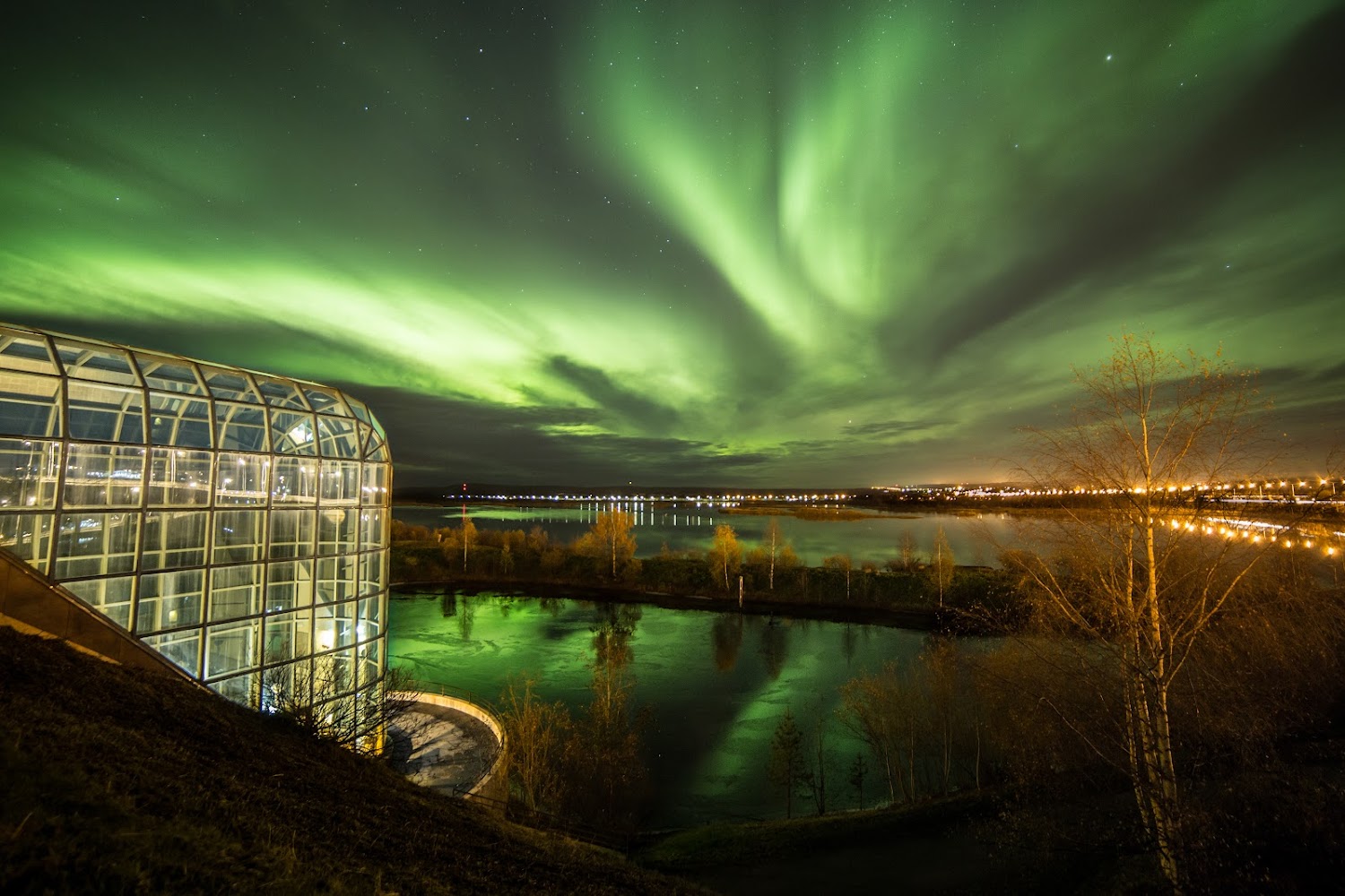 Arktikum
