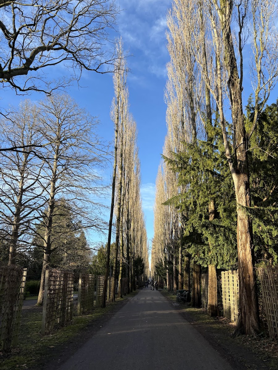 Assistens Cemetery