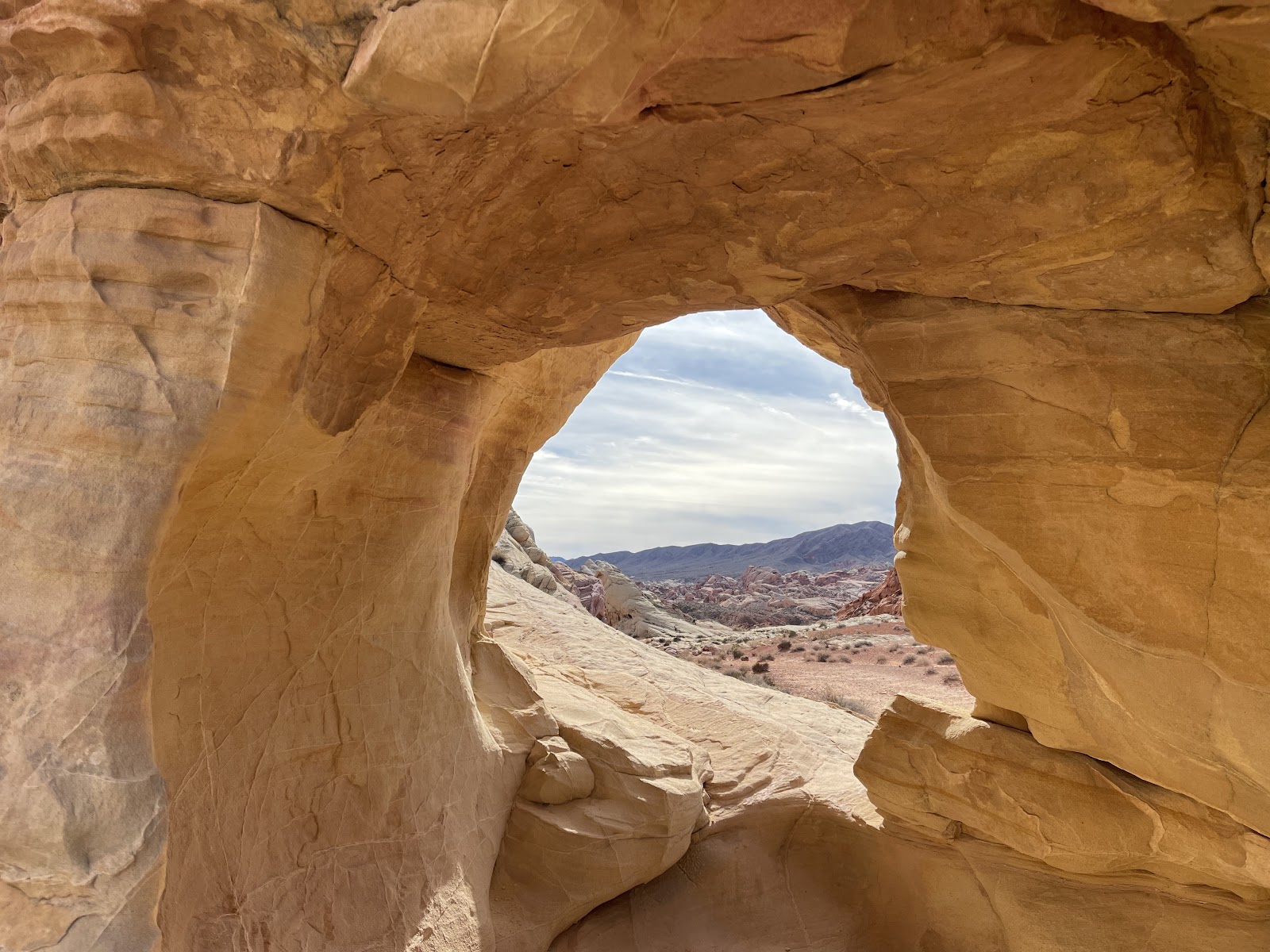 Atlatl Rock (Valley of Fire)