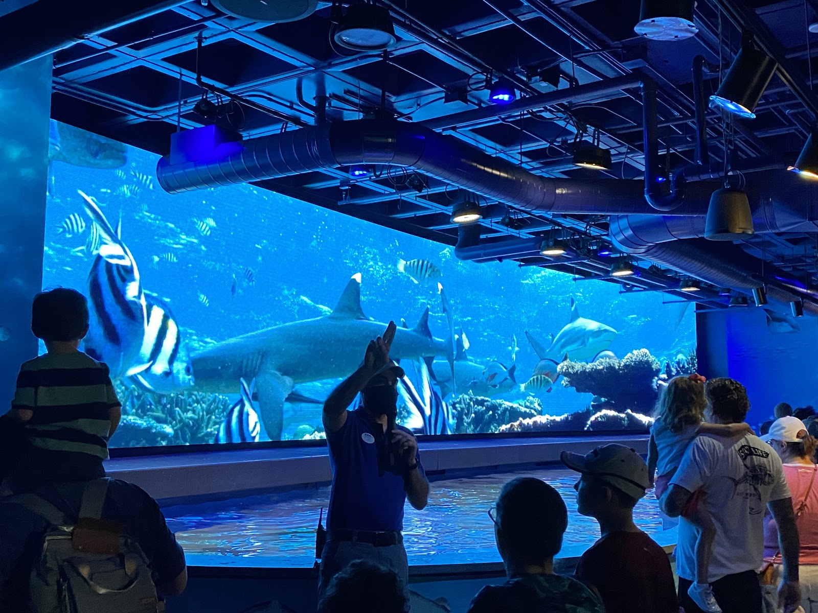 Audubon Aquarium of the Americas