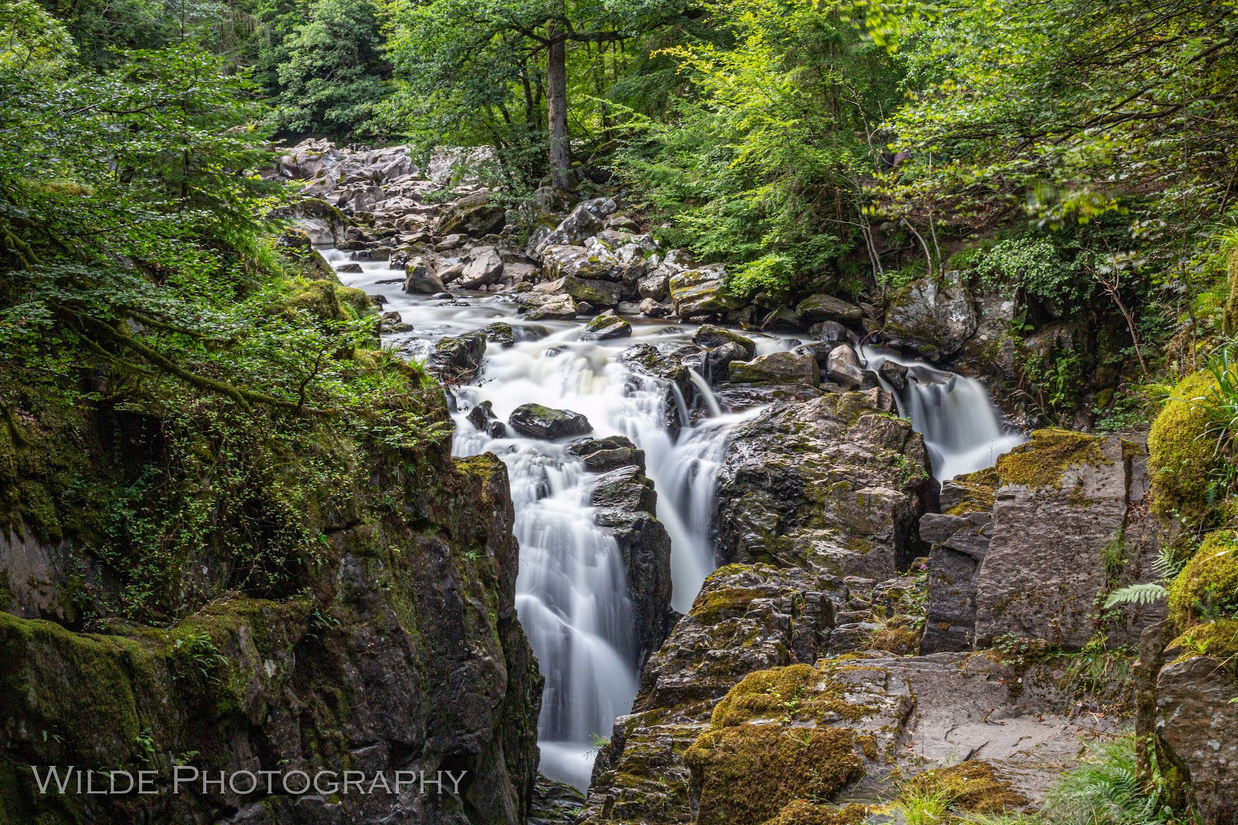 The Hermitage (National Trust for Scotland)