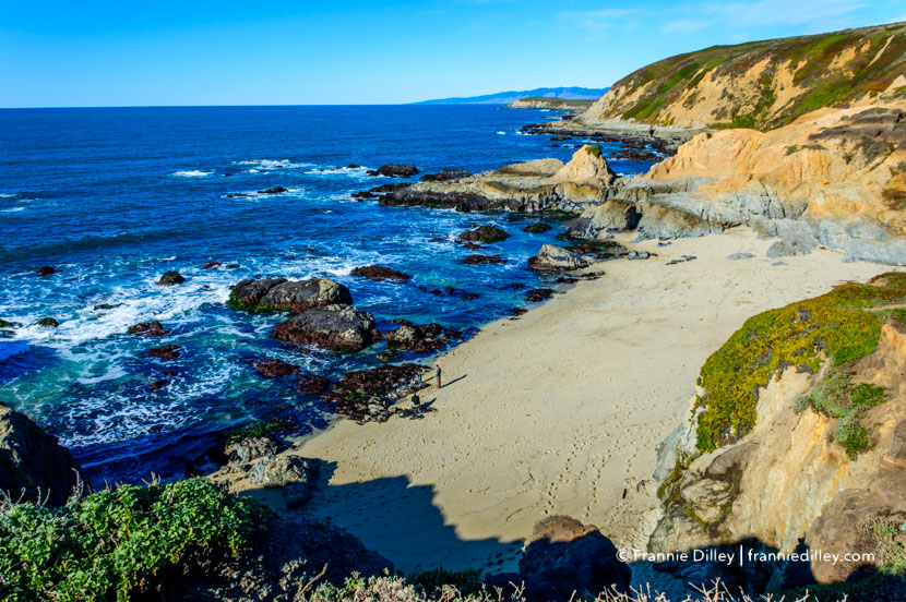 Bodega Head