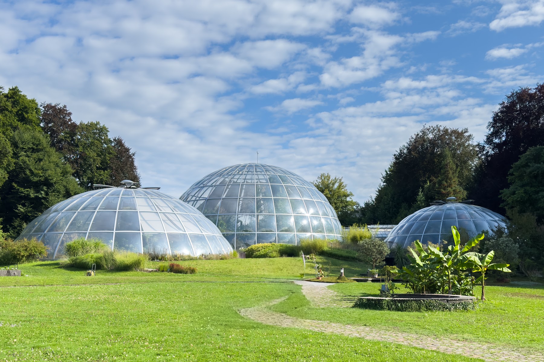 Botanical Garden of the University of Zurich
