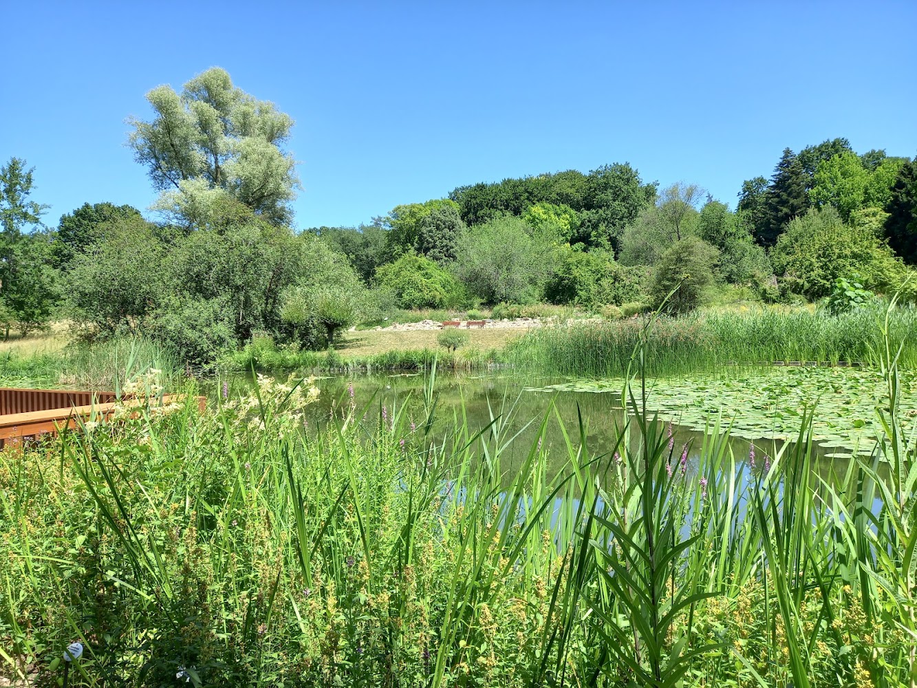 Botanischer Garten Frankfurt