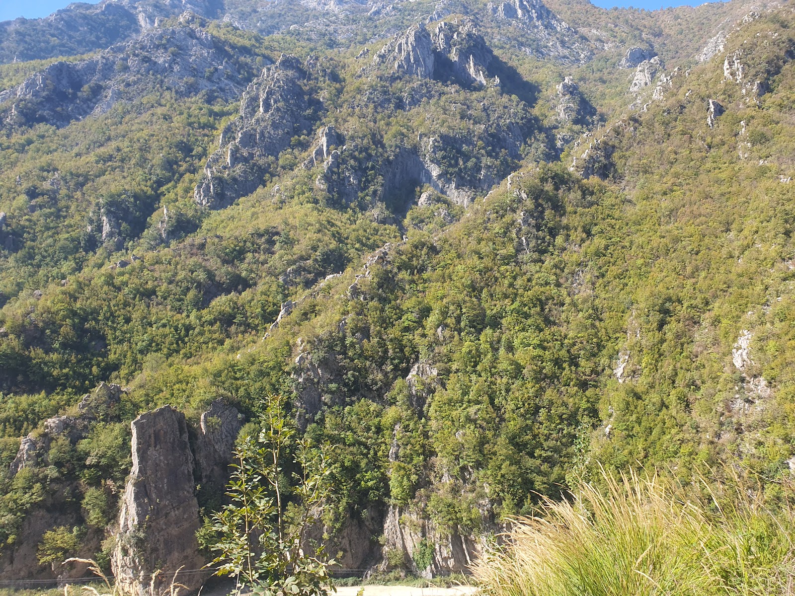 Bovilla Lake Viewpoint