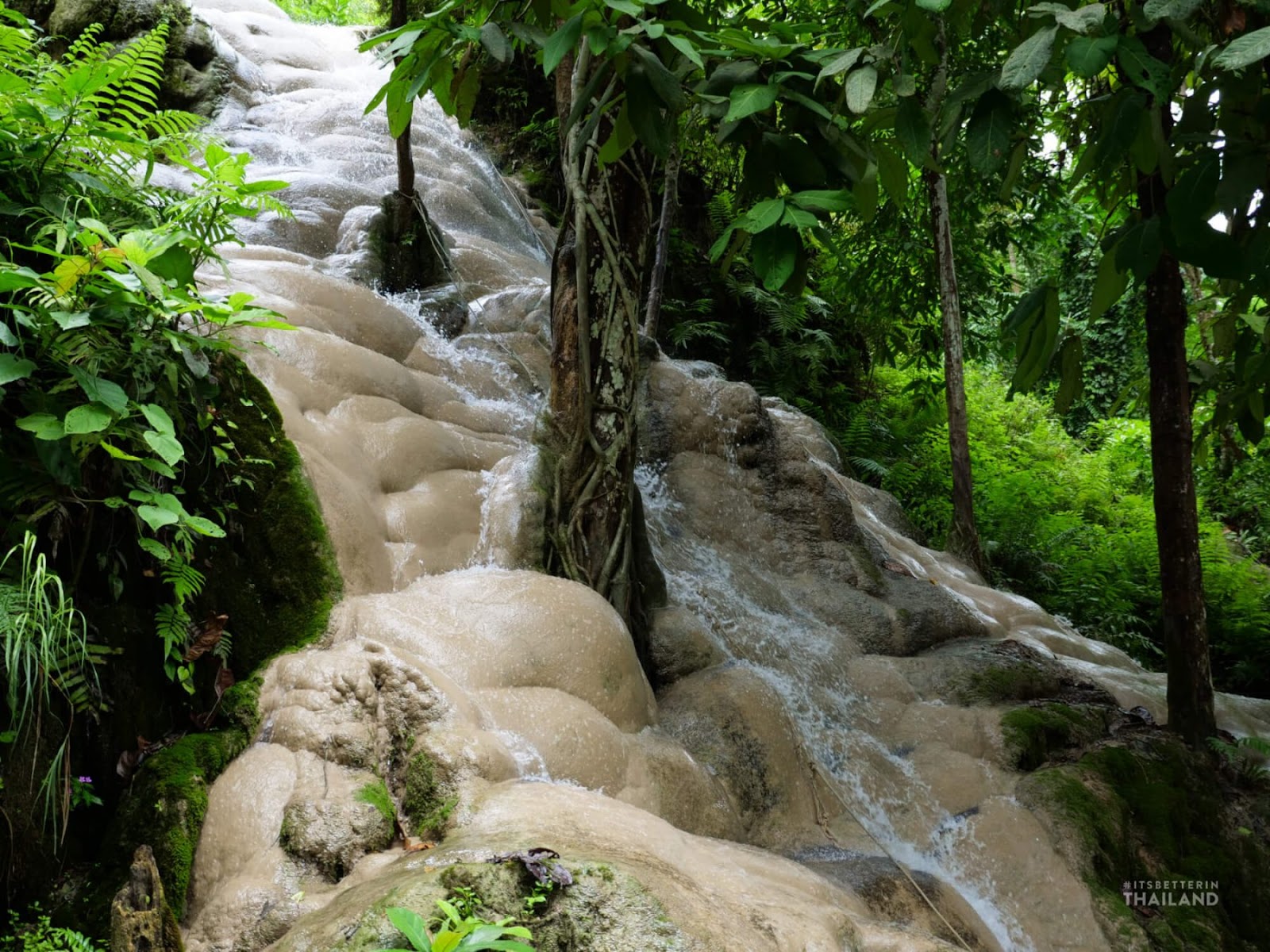 Bua Tong Waterfall (Sticky Waterfall)