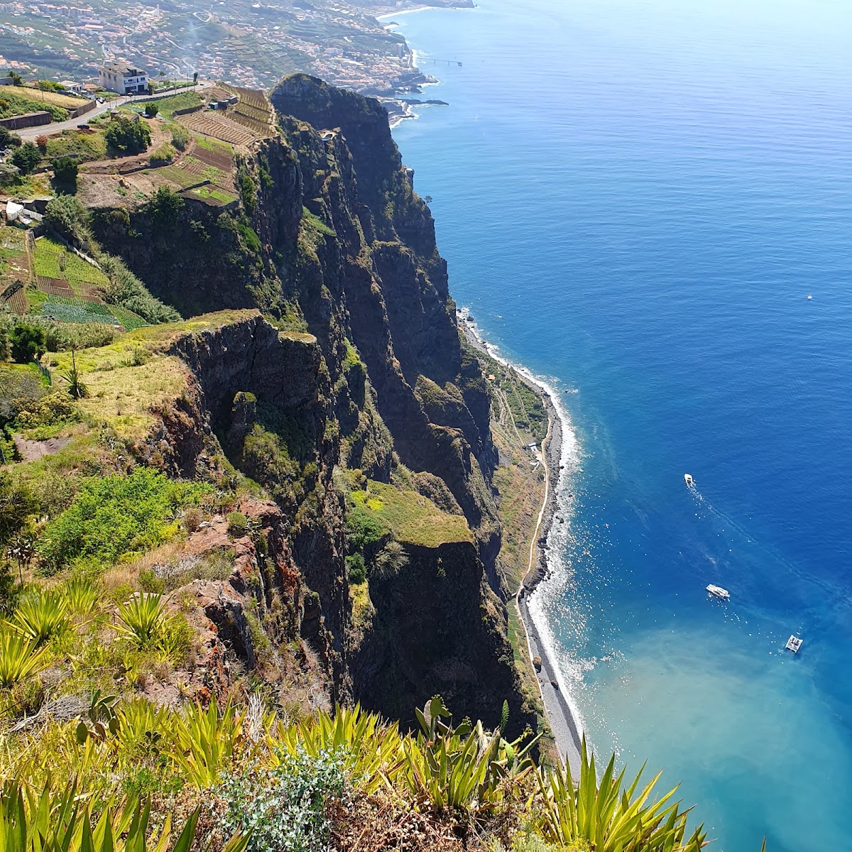 Cabo Girão Skywalk