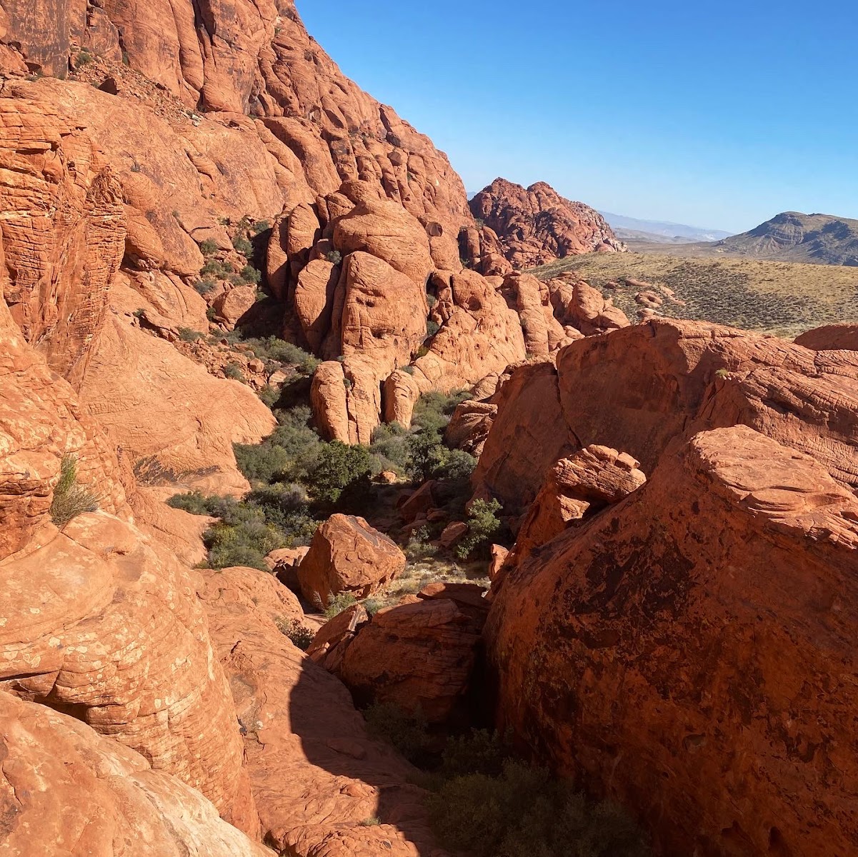 Calico Hills (Red Rock Canyon)