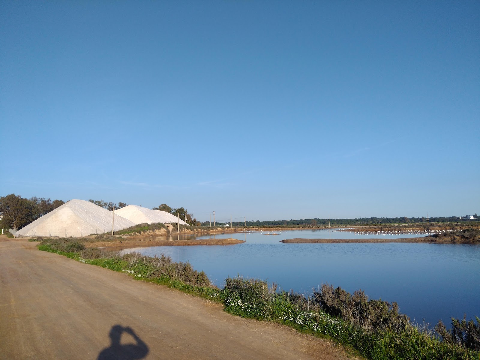 Caminho do Ludo