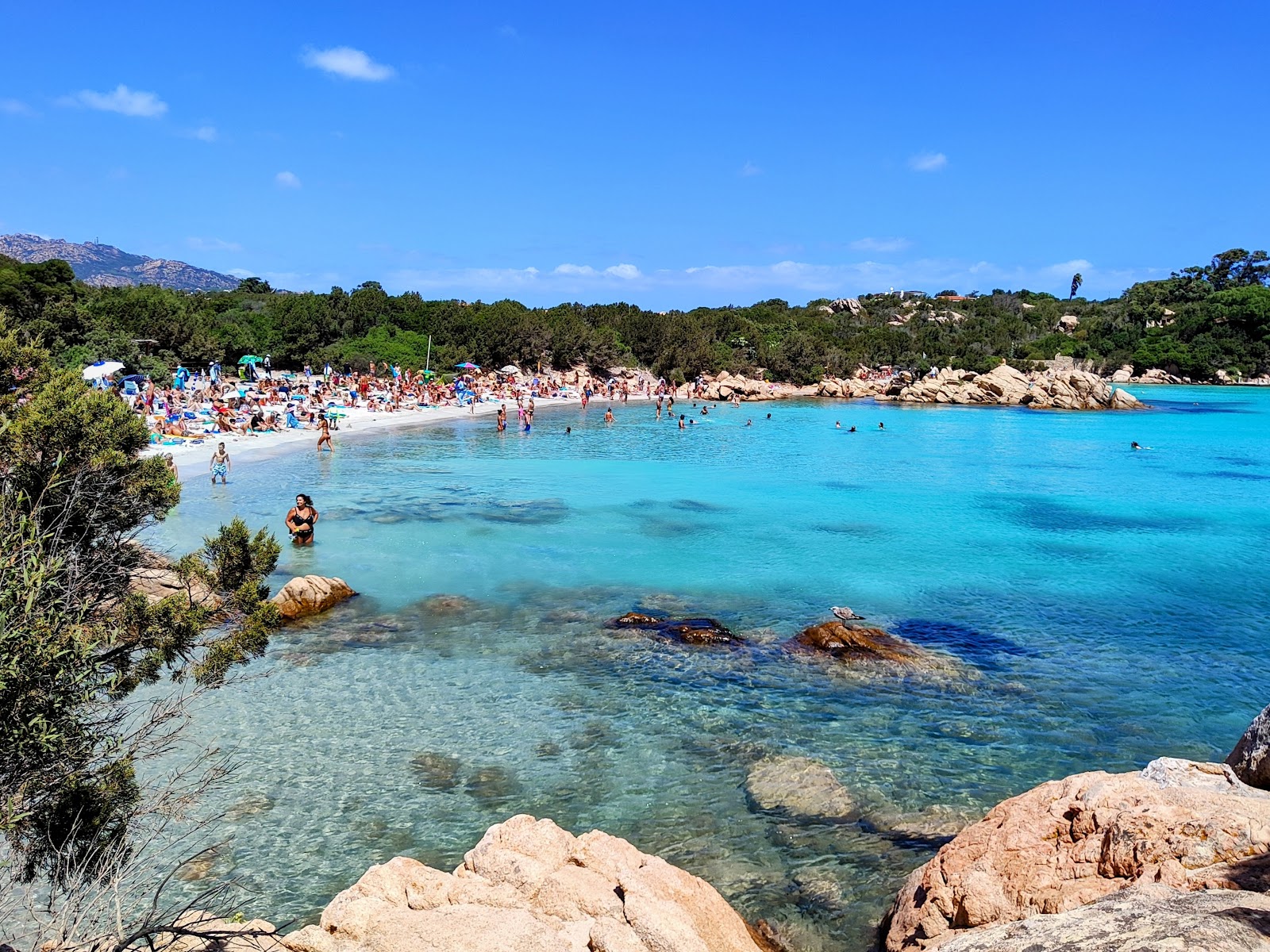 Capriccioli Beach