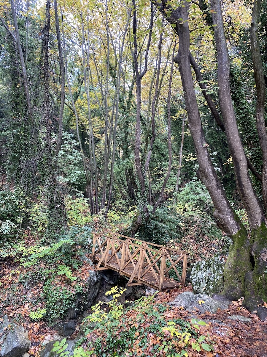 Centaur's Path (Portaria)