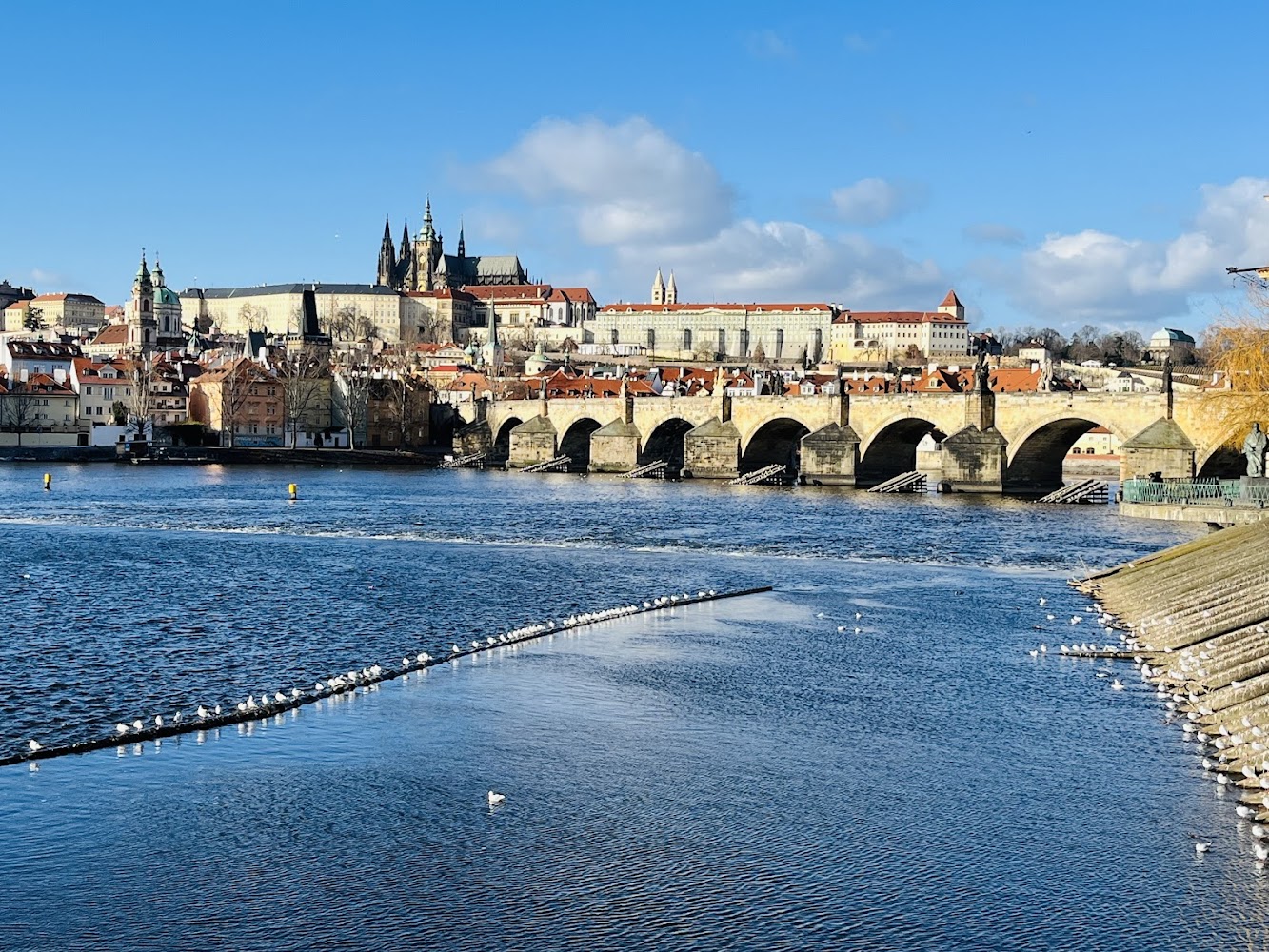 Charles Bridge