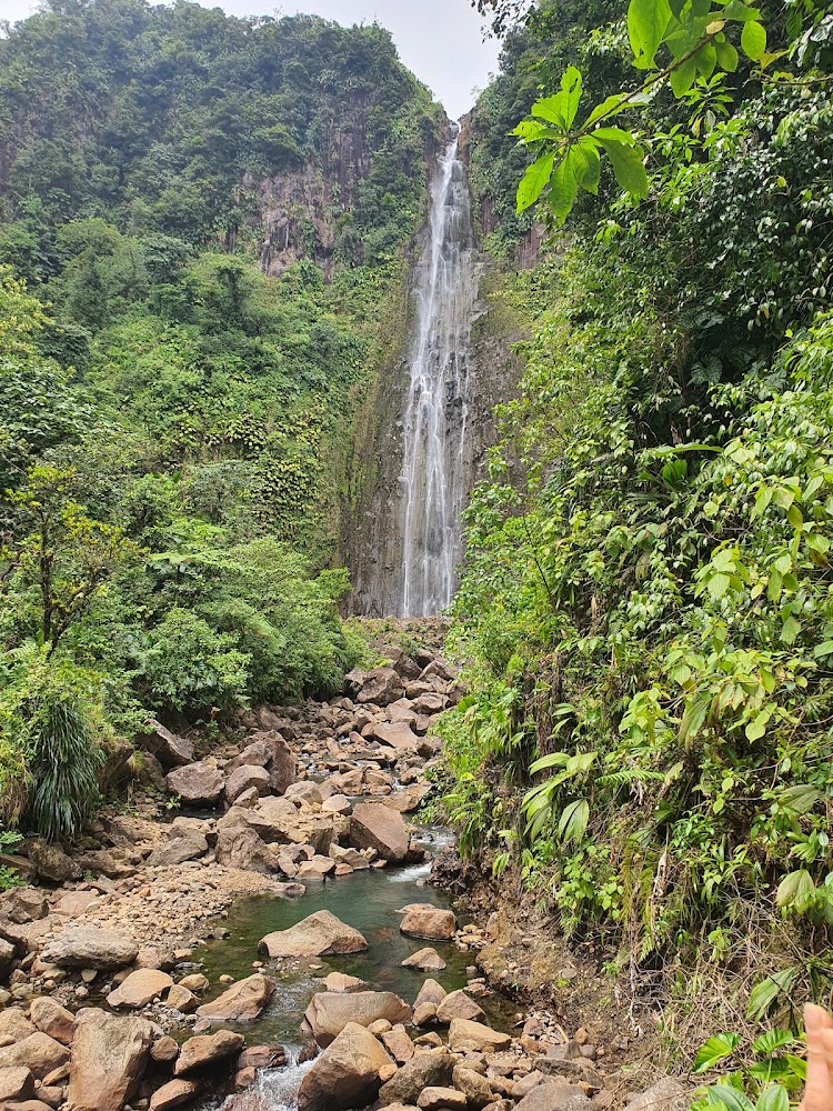 Chutes du Carbet