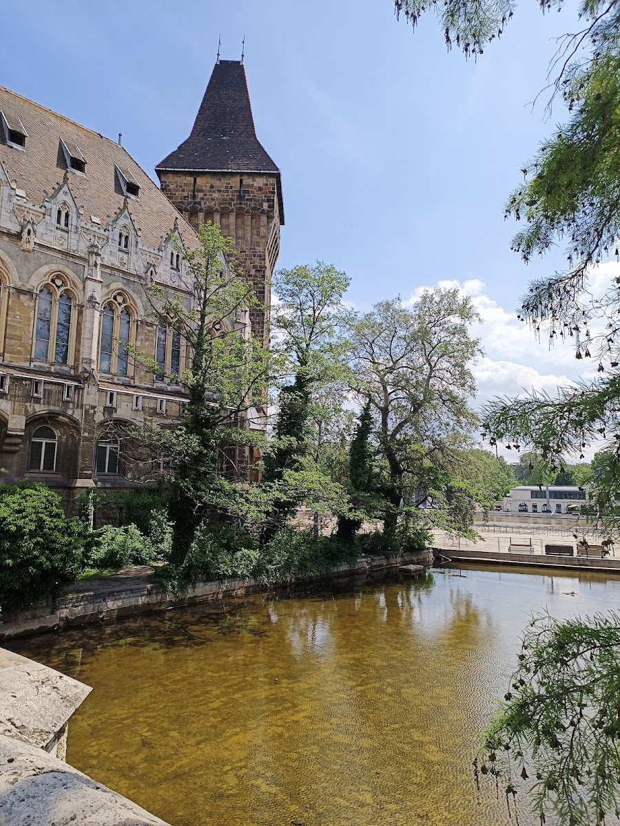 City Park (Városliget)