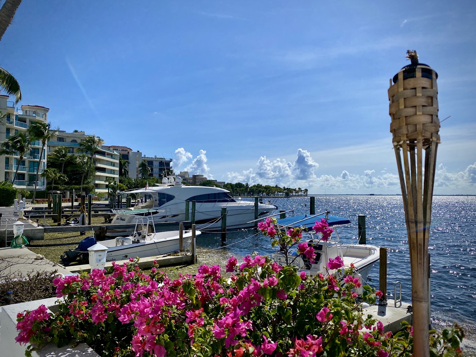 Coconut Grove