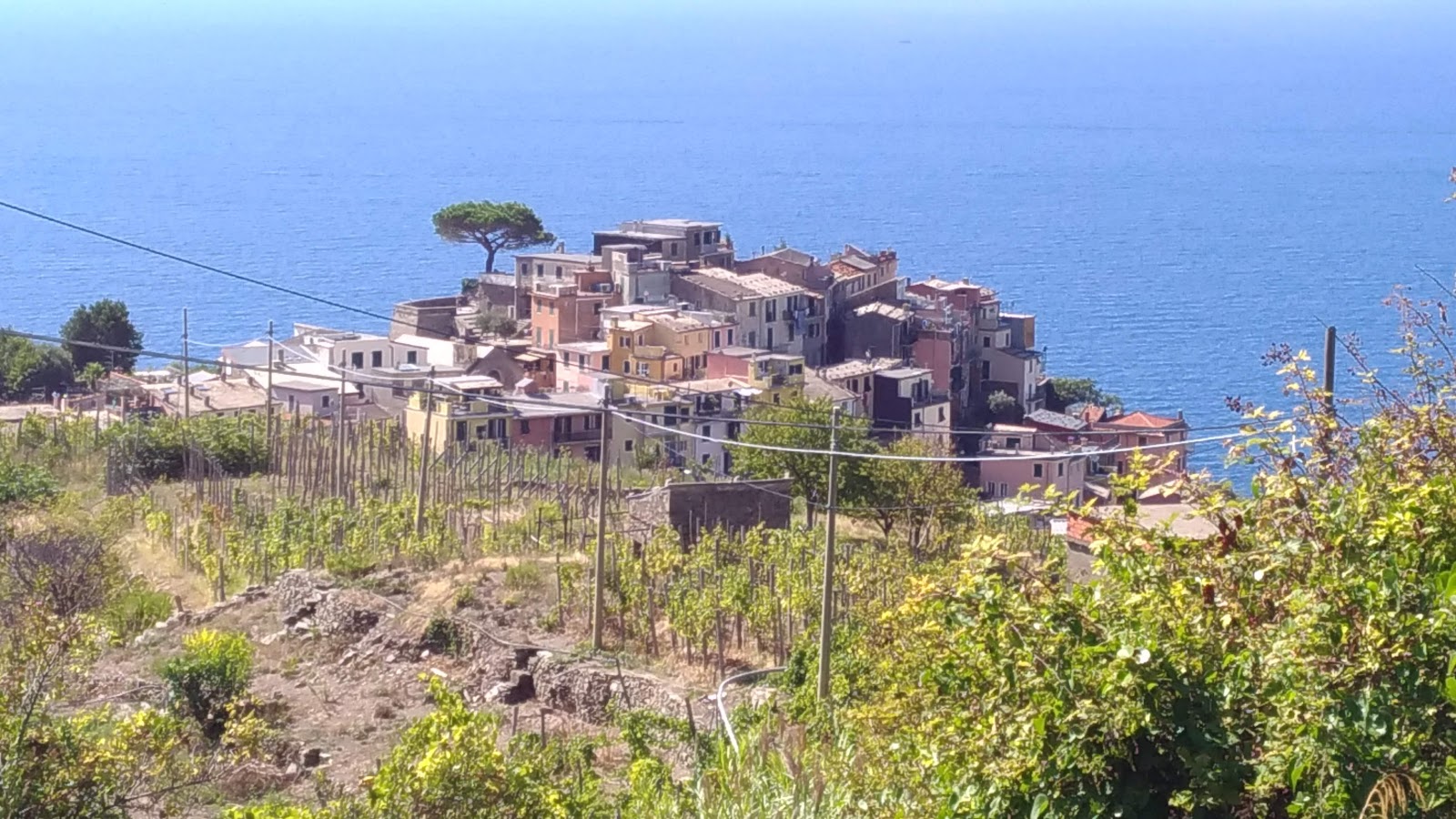 Corniglia Viewpoint