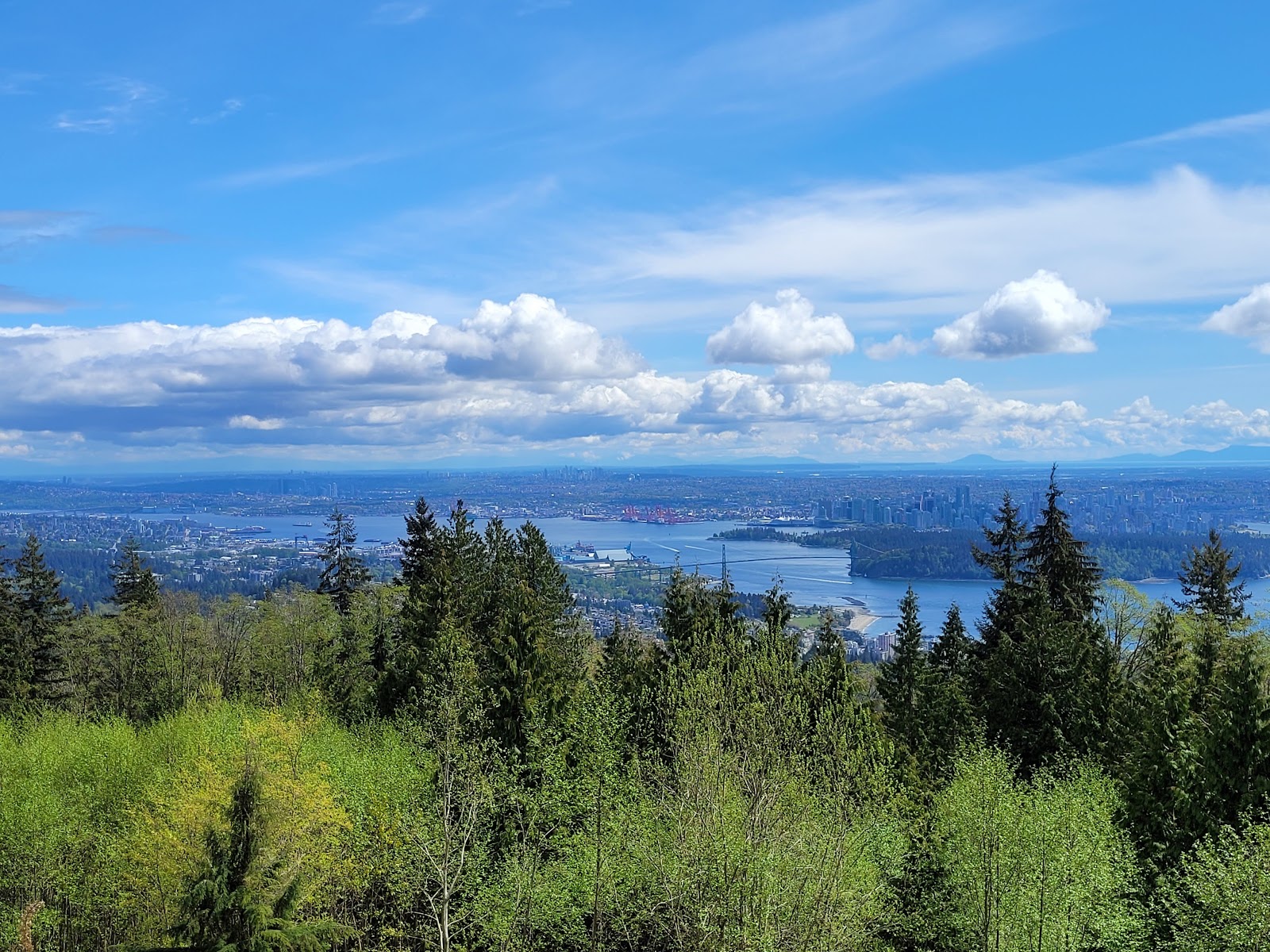 Cypress Mountain Viewpoint