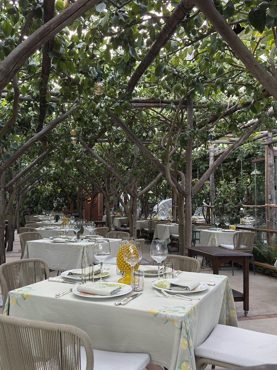 Da Paolino Lemon Trees Restaurant
