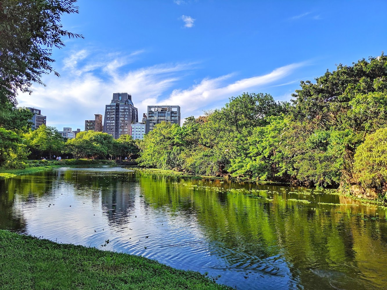 Daan Forest Park