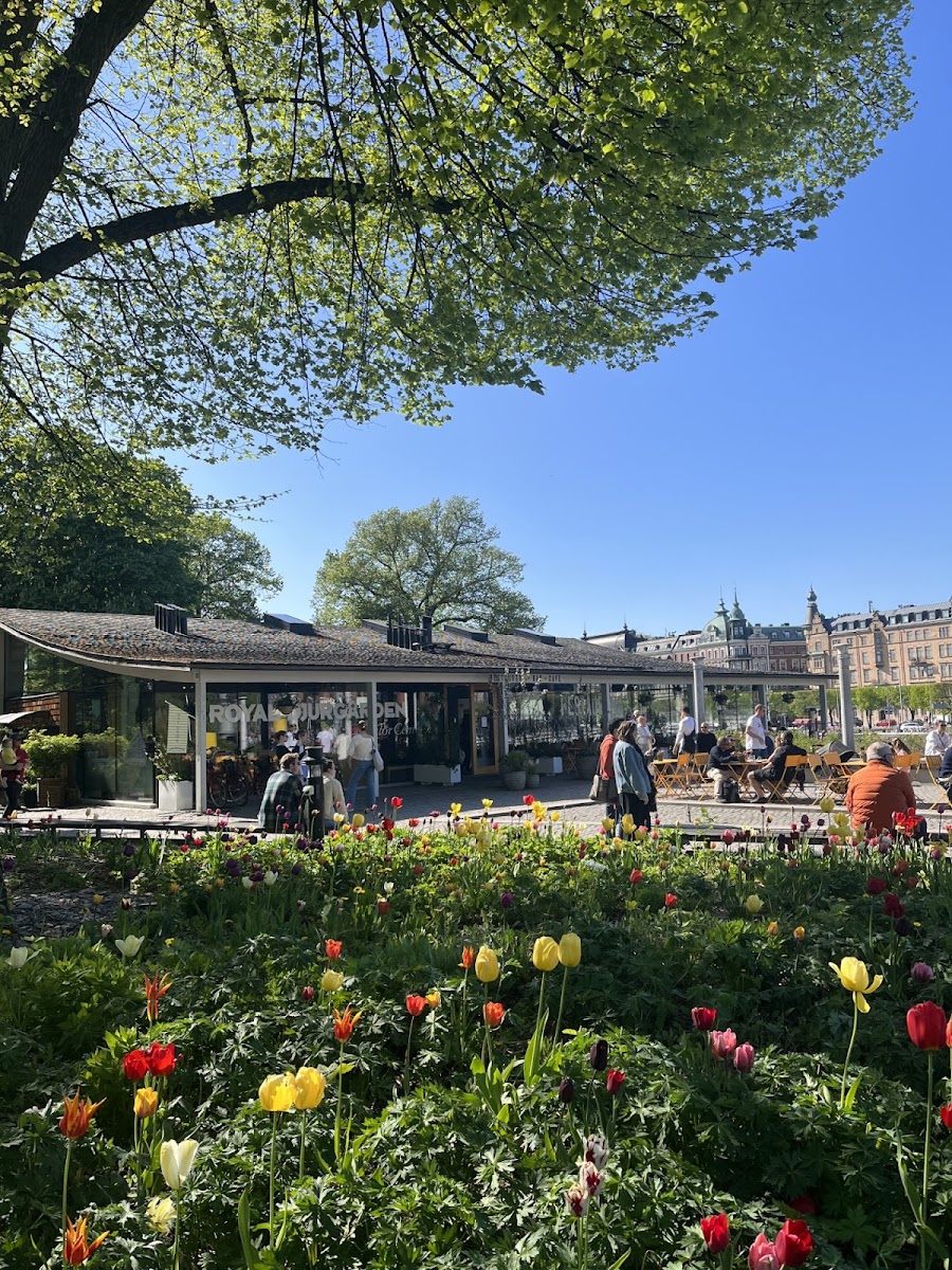 Djurgården Island Walk