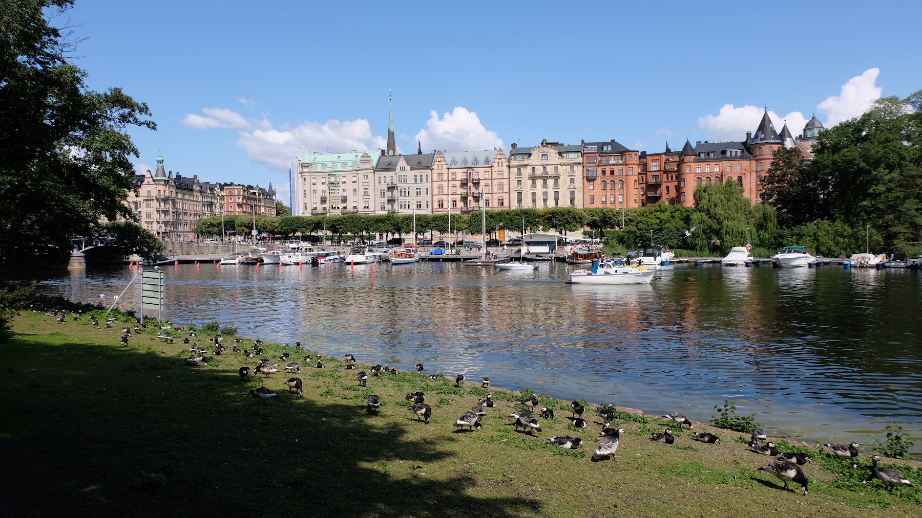 Djurgården