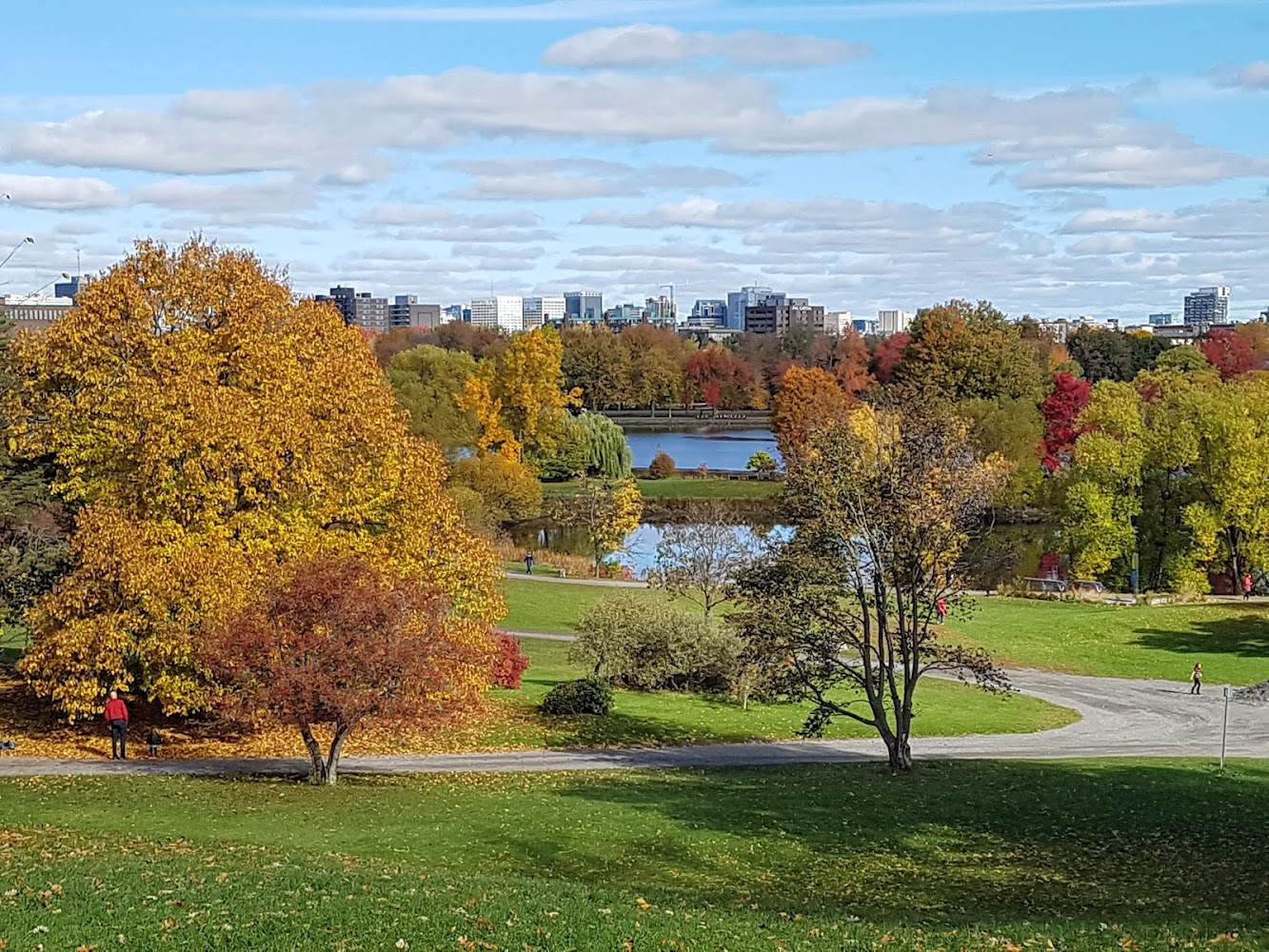 Dominion Arboretum