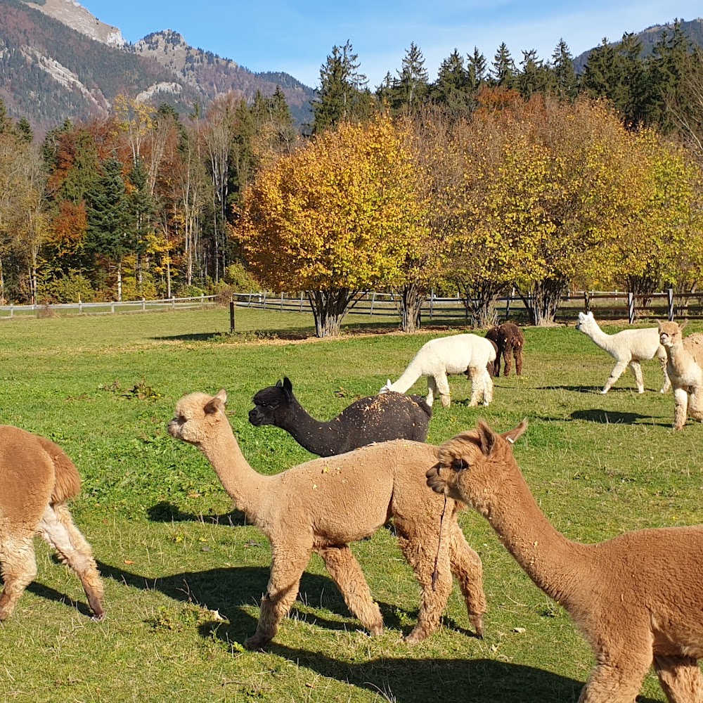 Dorf der Tiere