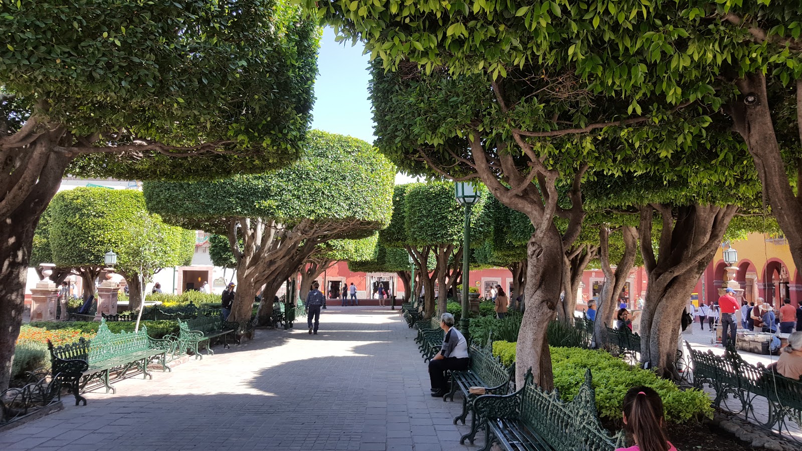 El Jardín