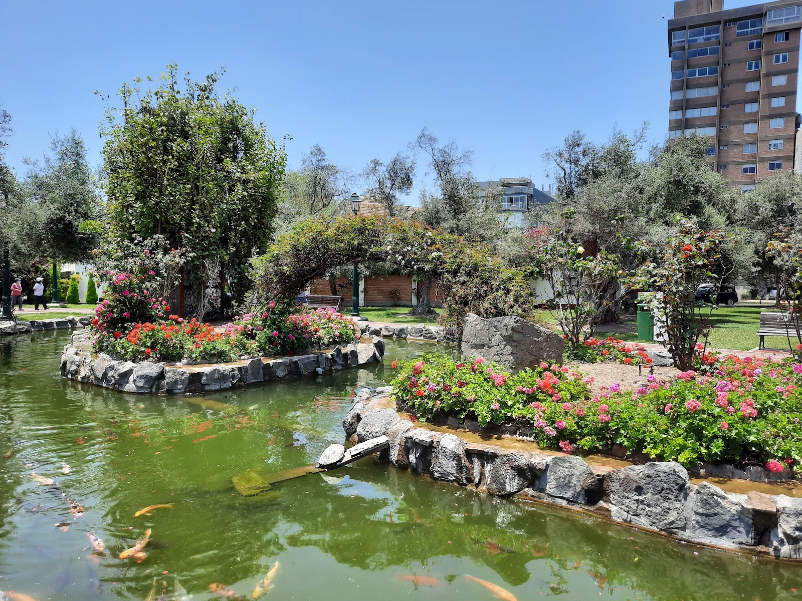 El Olivar Park (Bosque El Olivar)