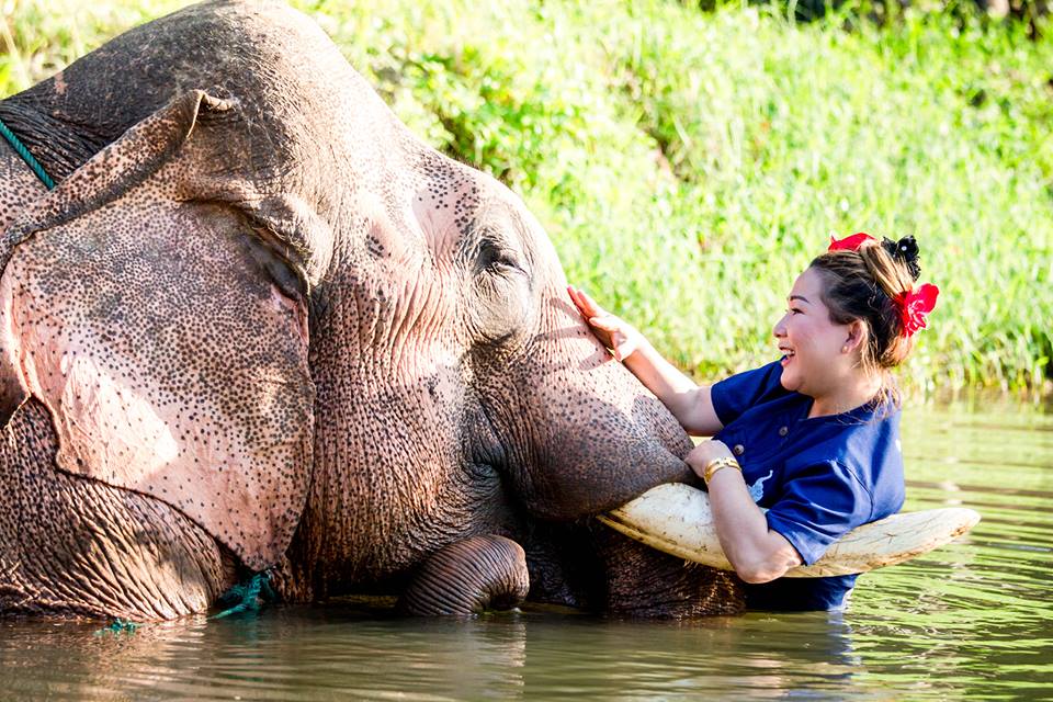Elephant Nature Park