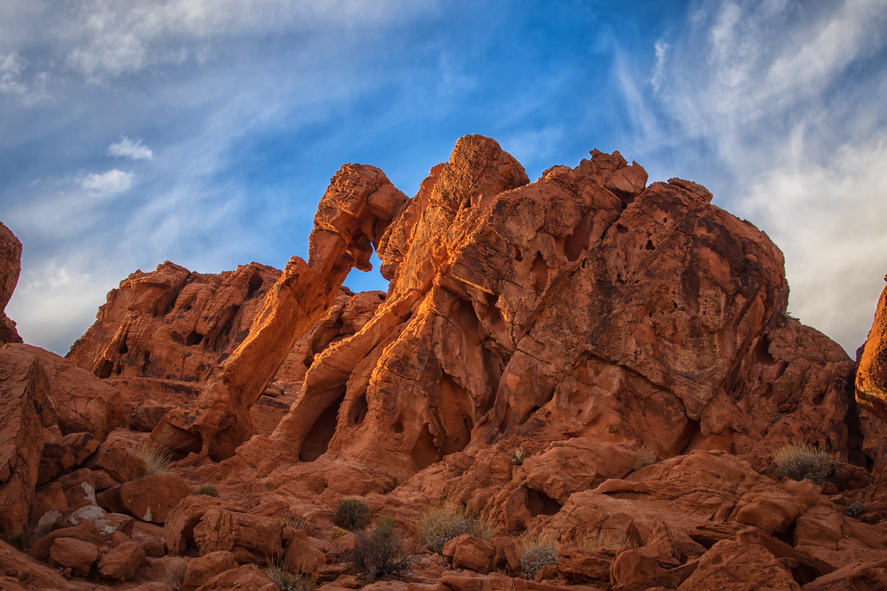 Elephant Rock (Valley of Fire)