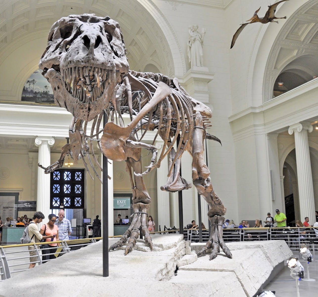 Field Museum