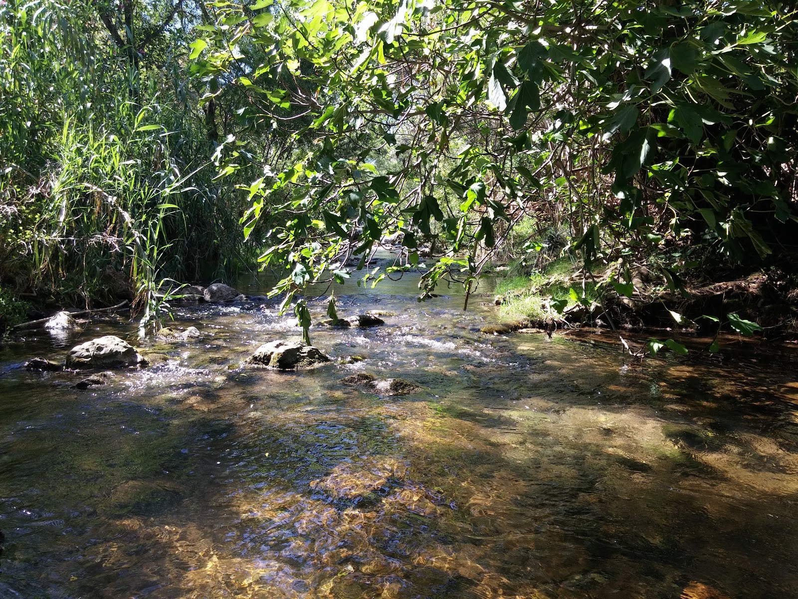 Fonte da Benémola