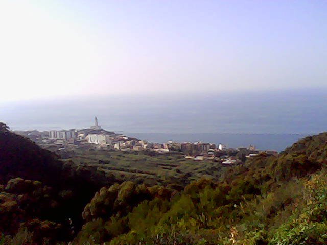 Forêt de Baïnem