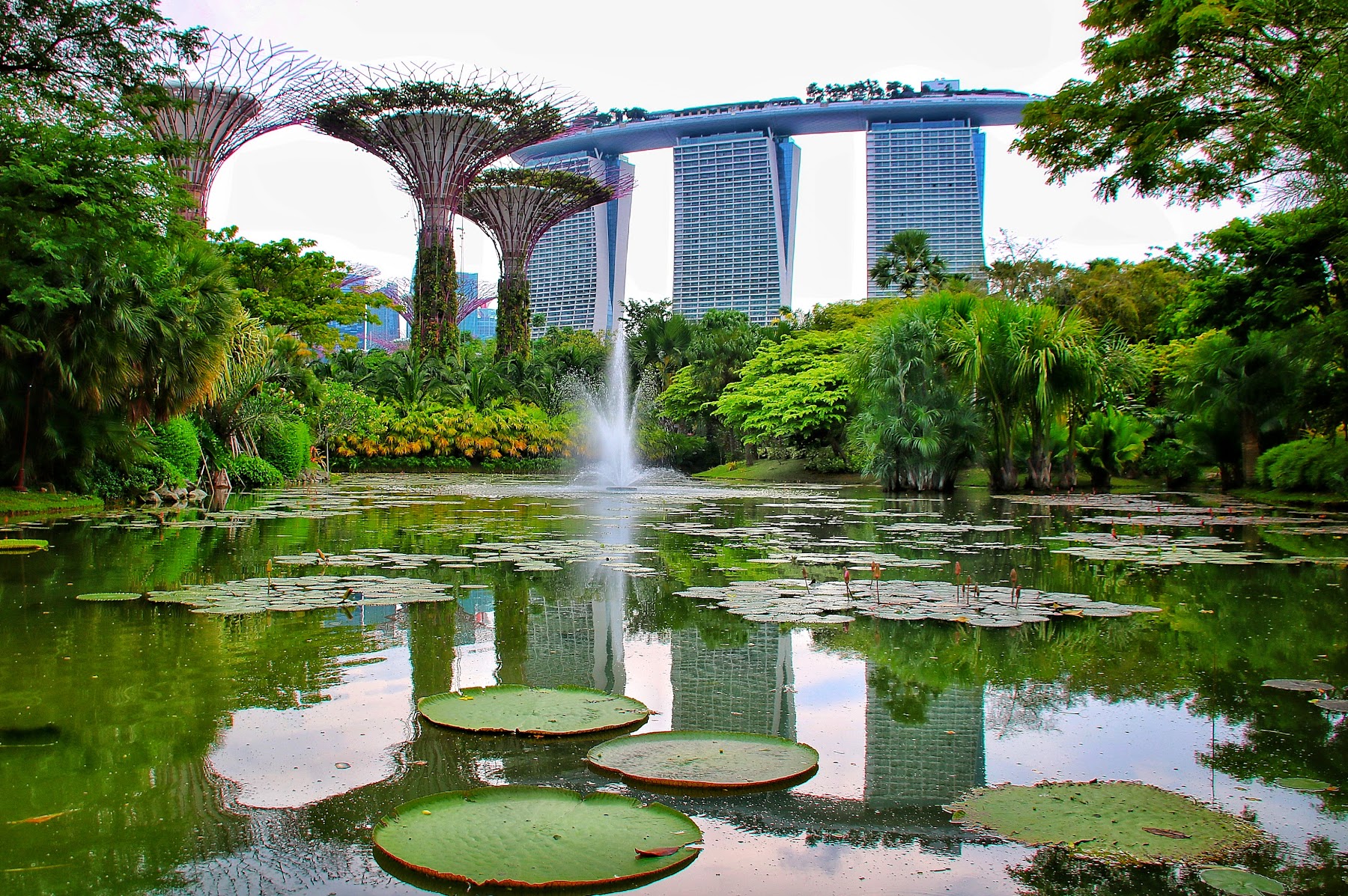Gardens by the Bay