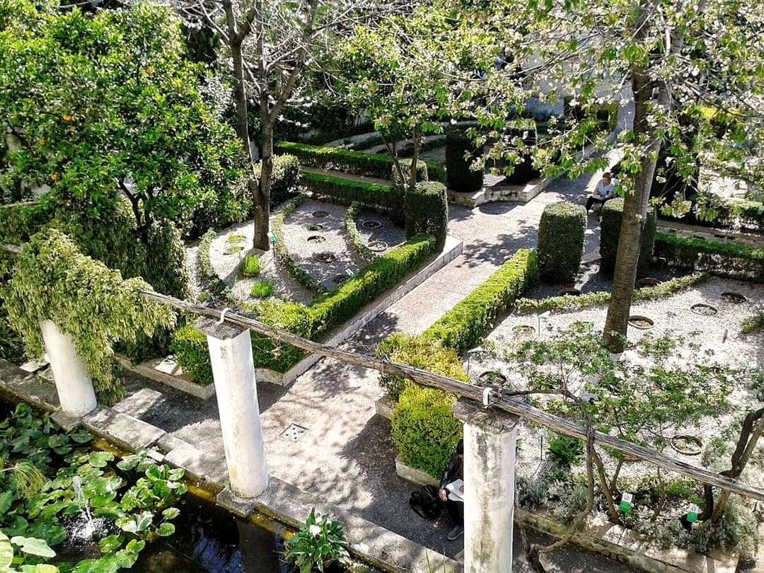 Giardino della Minerva