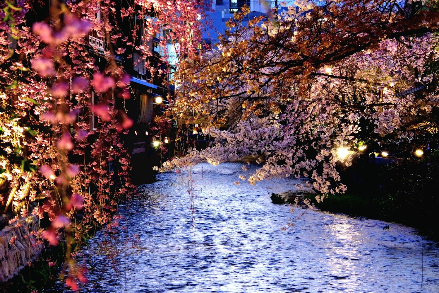 Gion Shirakawa Area