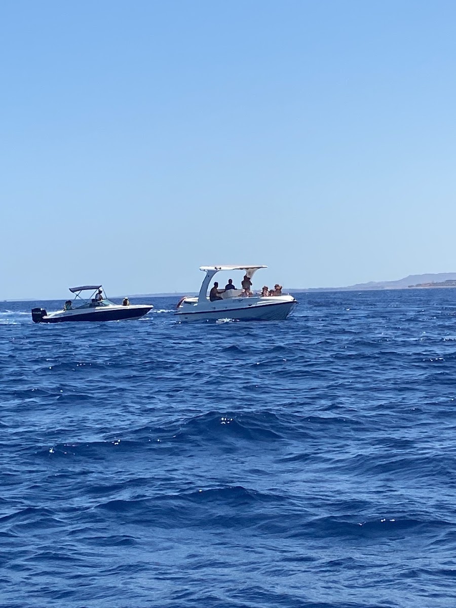 Glass Bottom Boat Tour (Naama Bay)