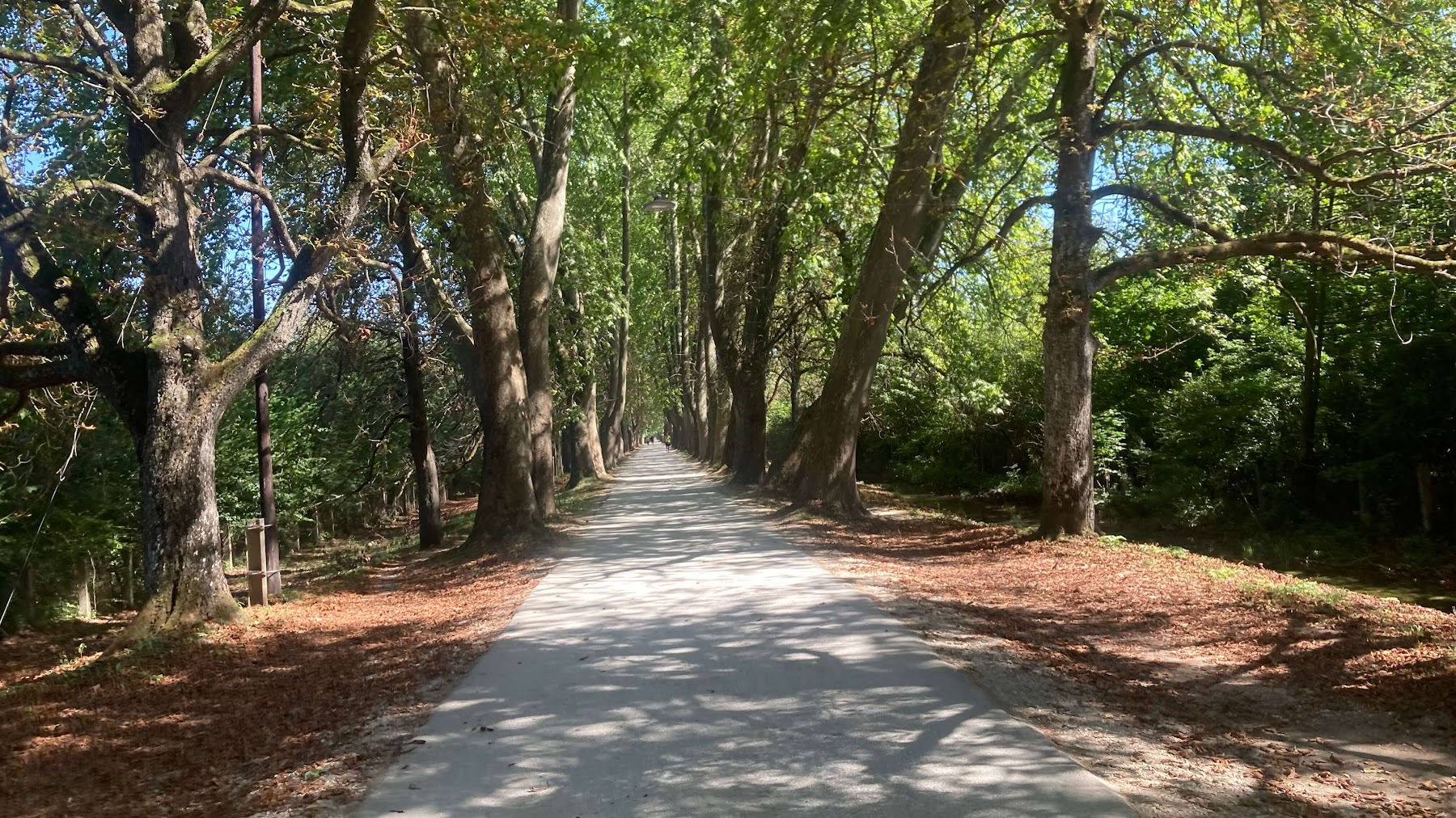 Great Alley (Velika Aleja)