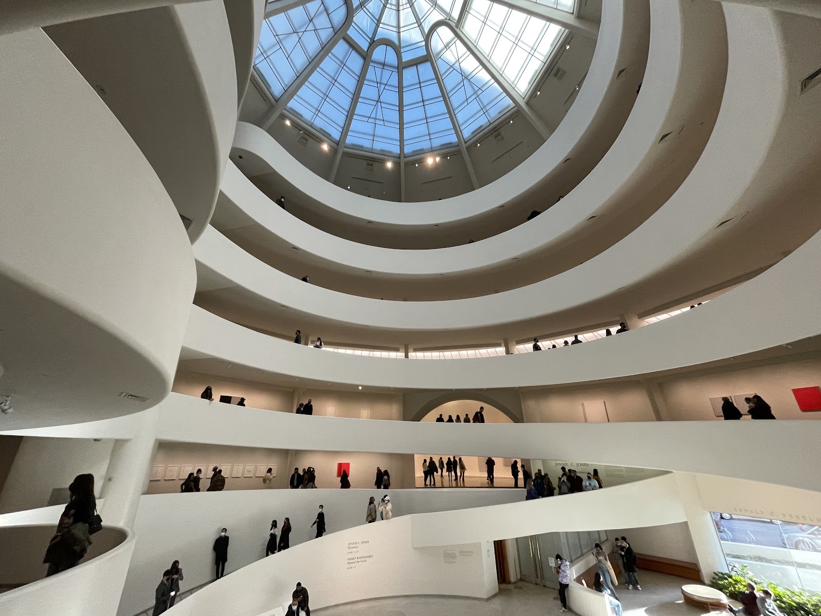Guggenheim Museum