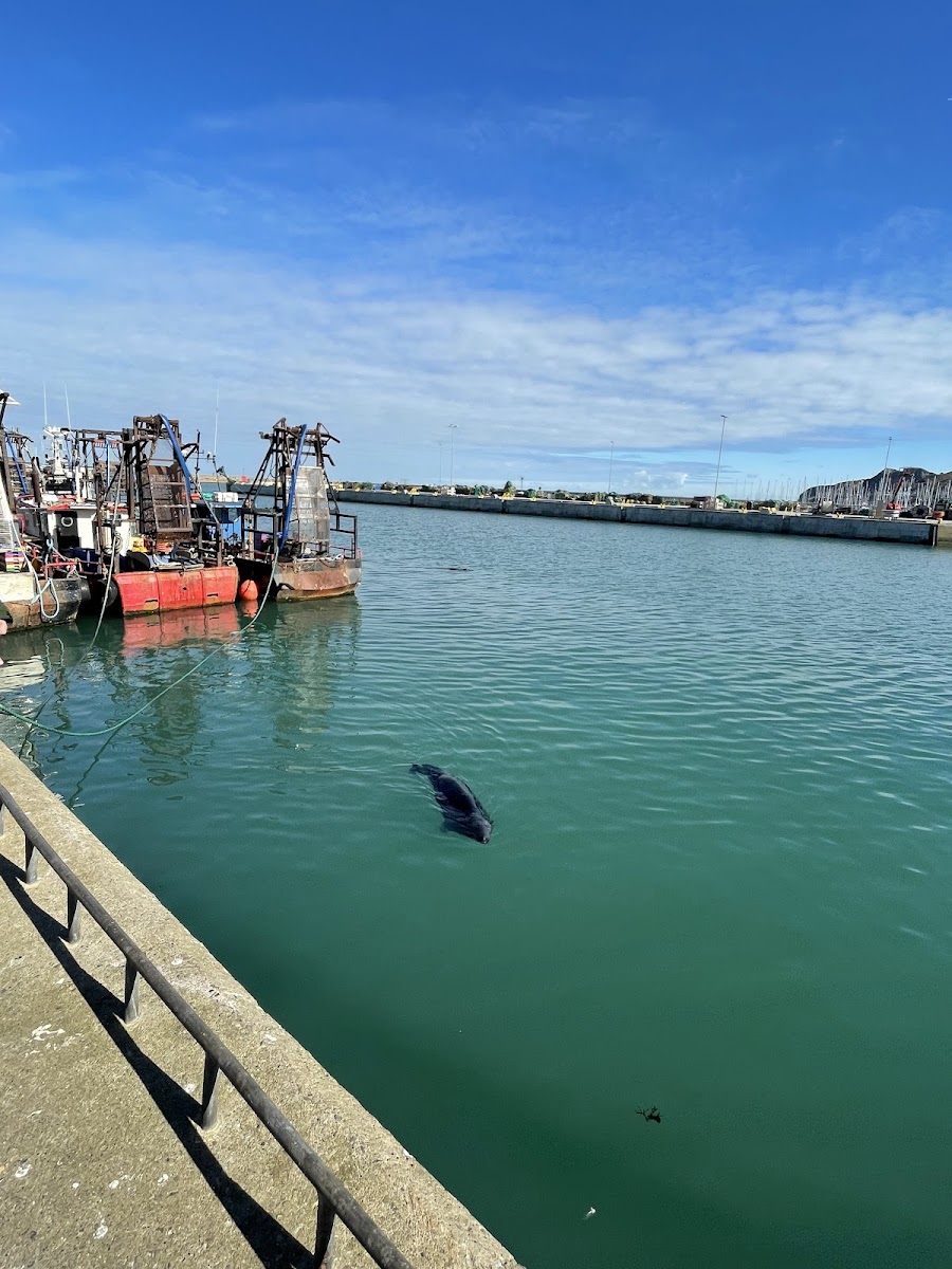 Howth Harbour