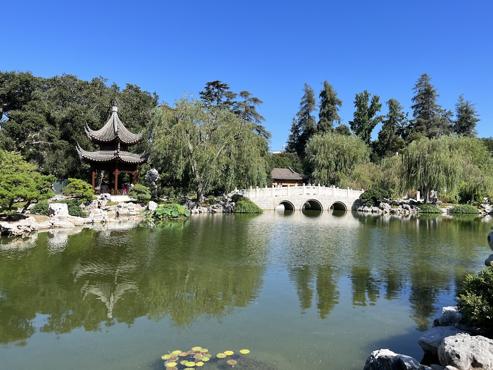 Huntington Library, Art Museum, and Botanical Gardens