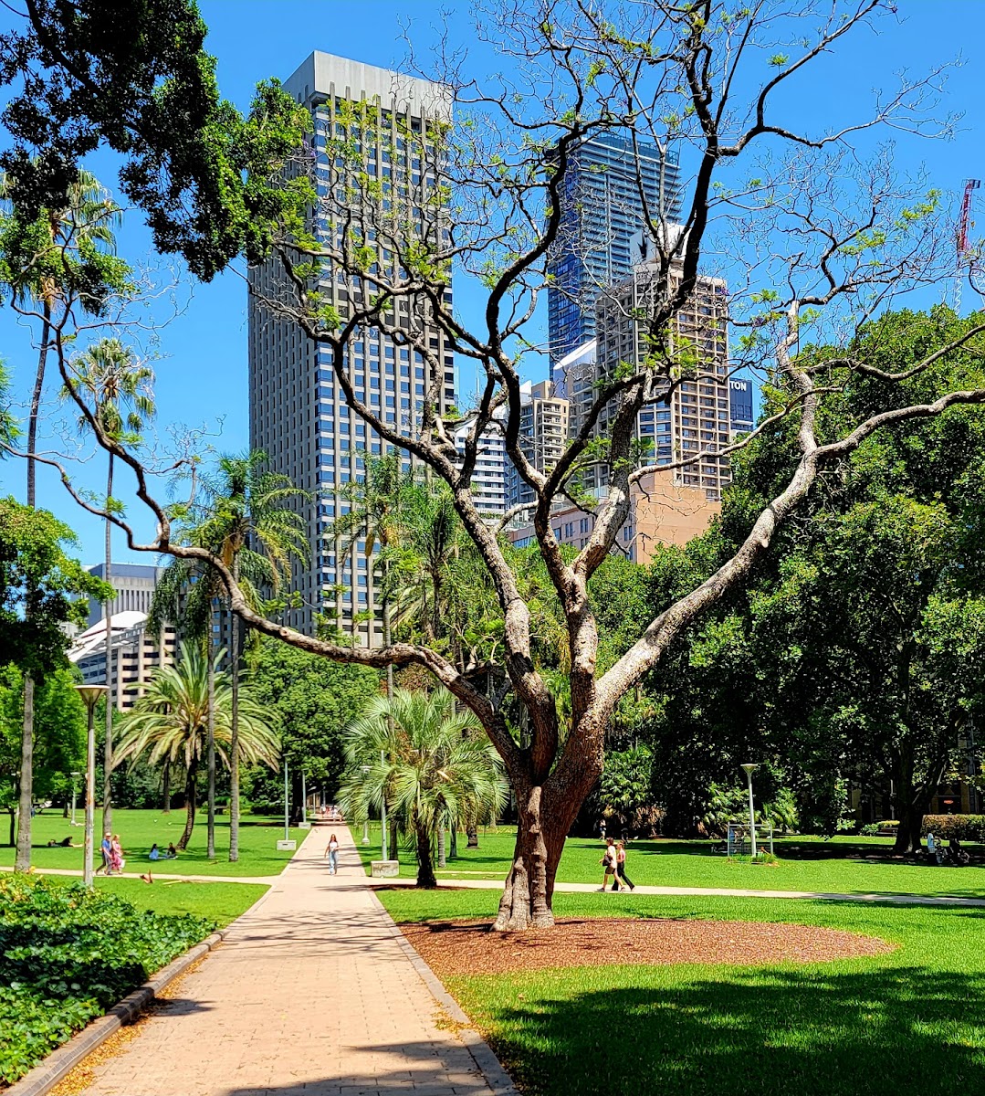 Hyde Park