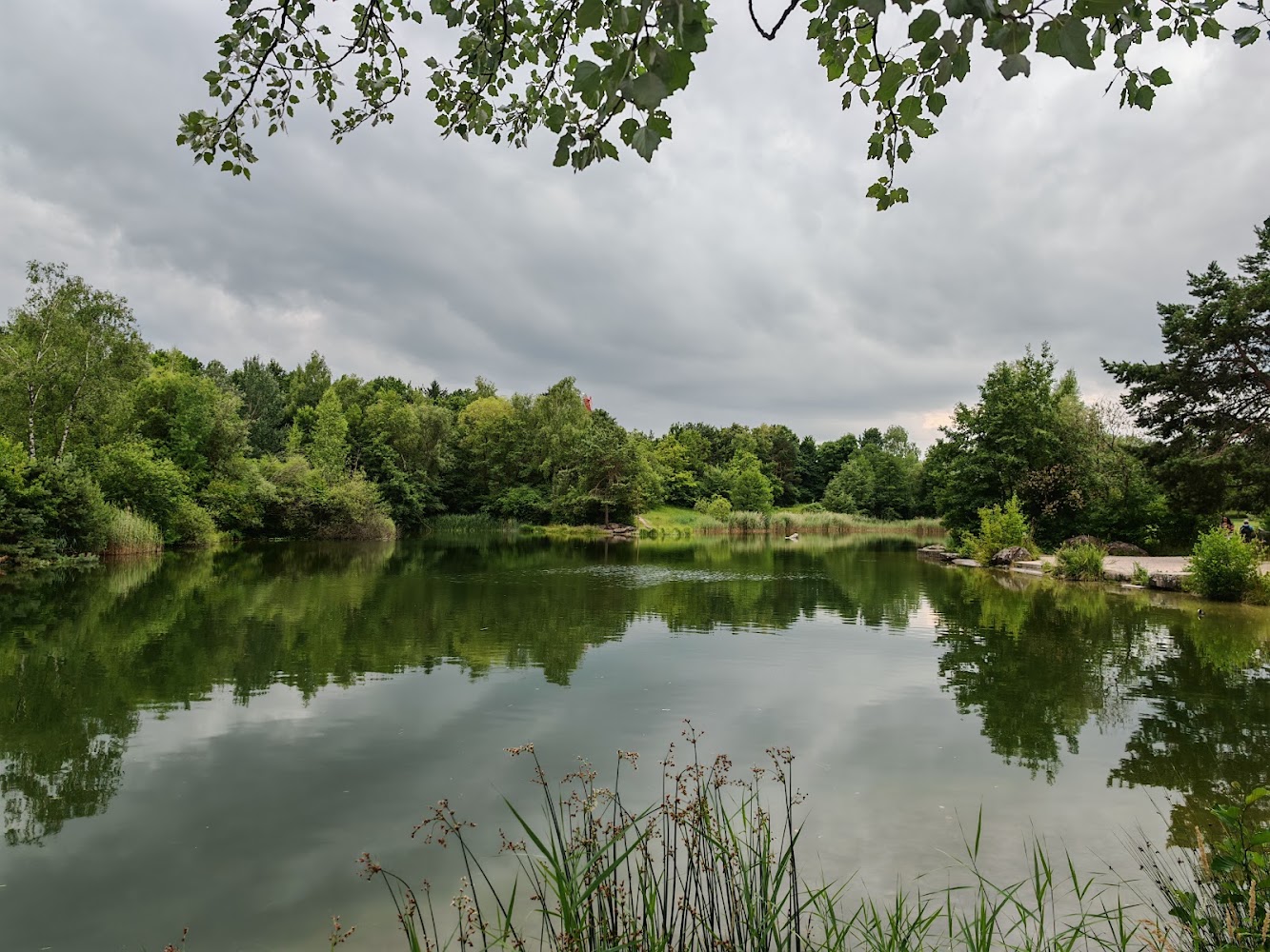 Irchelpark